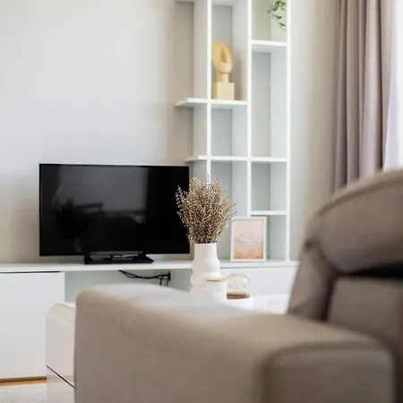 Luxury 1bdrm On The 28th Floor Apartment
